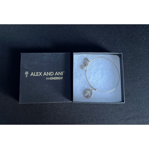 Alex and Ani Bracelet - Stand up to Cancer - Picture 7 of 7